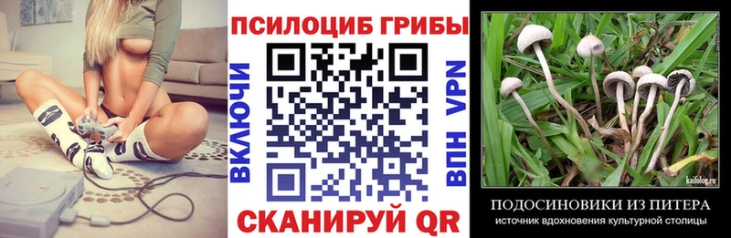 ссылка на мегу зеркало  Ленинск-Кузнецкий  Псилоцибиновые грибы мухоморы  купить закладку 