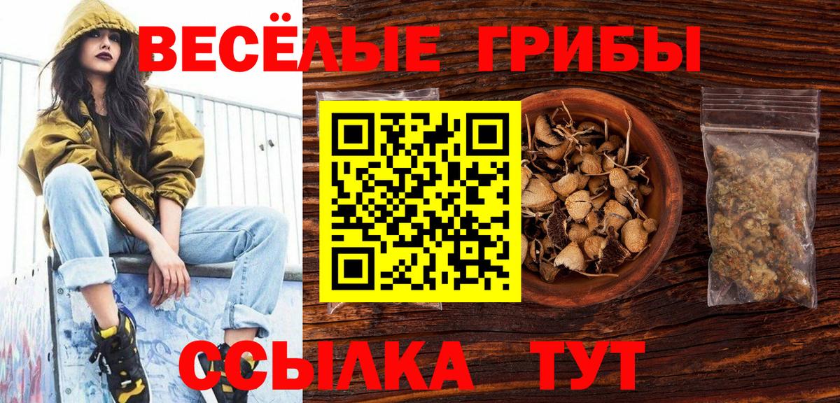 Галлюциногенные грибы мухоморы  Псилоцибиновые грибы Psilocybe  Вход с VPN  Ленинск-Кузнецкий 